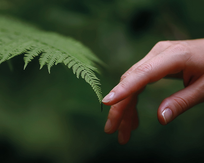 Filosofia Elementhia: essenzialità, natura e competenza professionale